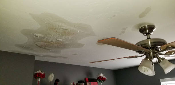 Why Timely Damage Roof Leak Repair Is Essential for Homeowners 1 Ceiling fan beneath a ceiling stained with water damage and mold, indicating a possible roof leak.